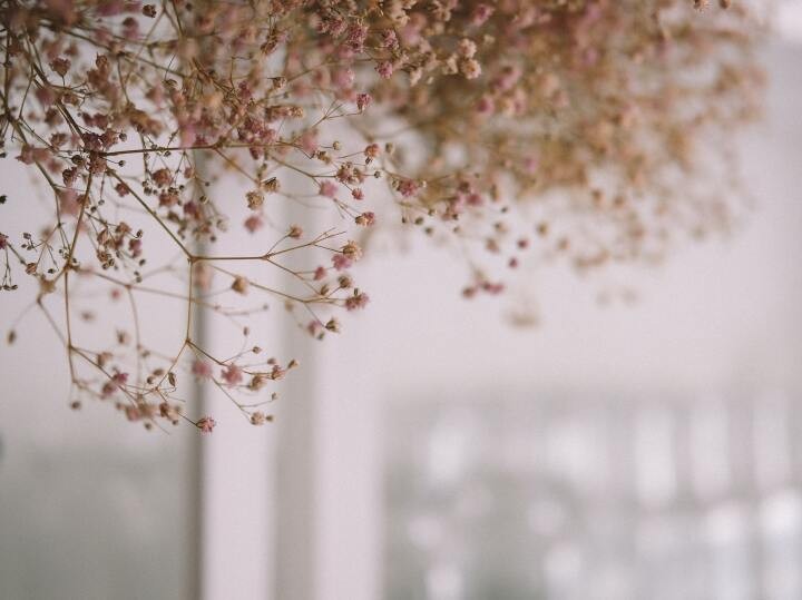 母の病気 そのつらさも寂しさも 全部意味ある経験にしたい かがみよかがみ