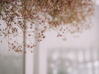 年に1回の健康診断が怖い。不安を煽るだけで全然幸せになれない