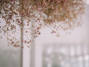 母の病気。そのつらさも寂しさも、全部意味ある経験にしたい。