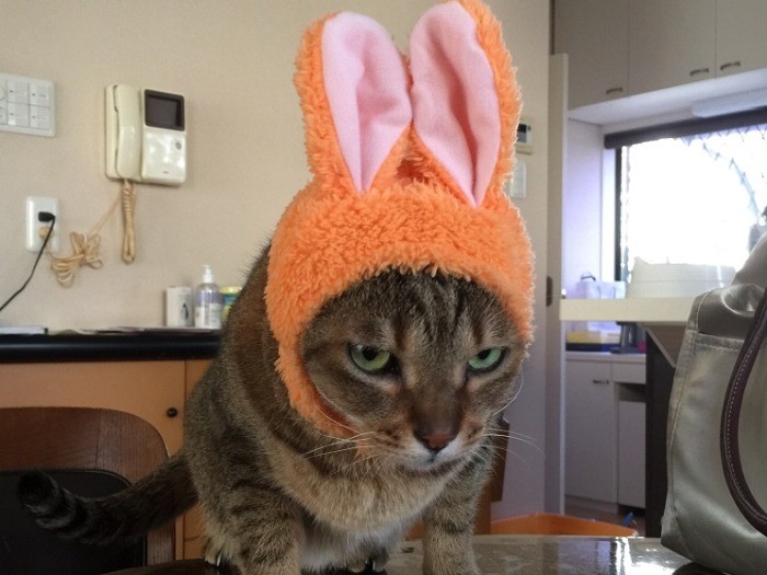 嫌がる顔が怖いけど、可愛い