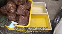 しいたけの菌床を譲り受けたそう／投稿主さん提供