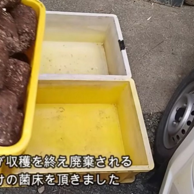 しいたけの菌床を譲り受けたそう／投稿主さん提供