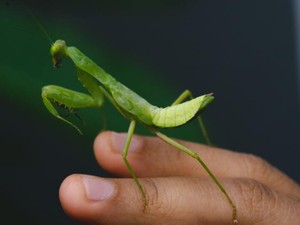 「出て行って」母からそう言われても、あの日の私は何も感じなかった
