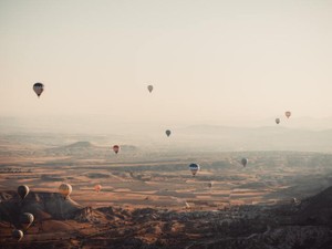 一人旅の代わりに私を癒したのは、久しぶりに手にした小説だった