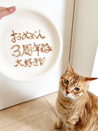 「うちの子記念日・3周年」を迎え、お祝いをしてもらうおぬくん（画像提供：おぬどんさん）