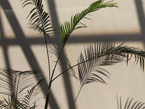 15歳の私へ。 中性的な魅力のあなたは、2倍得やねん！