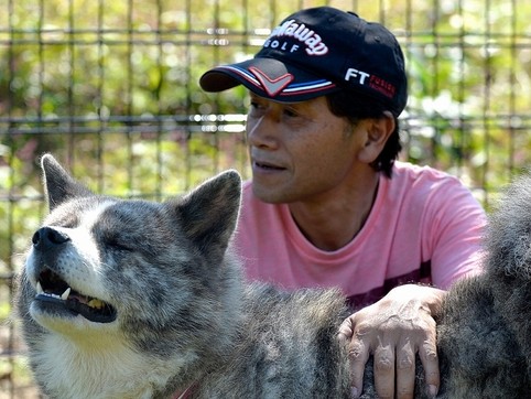 原発被災地で犬や猫を保護する元作業員　今も捨てられる動物たち