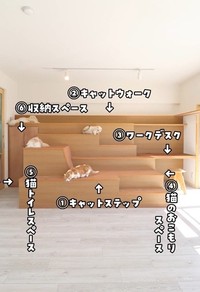 入居条件はとにかく“猫愛”が溢れている方（「ねこ大家」さん提供、Xよりキャプチャ撮影）