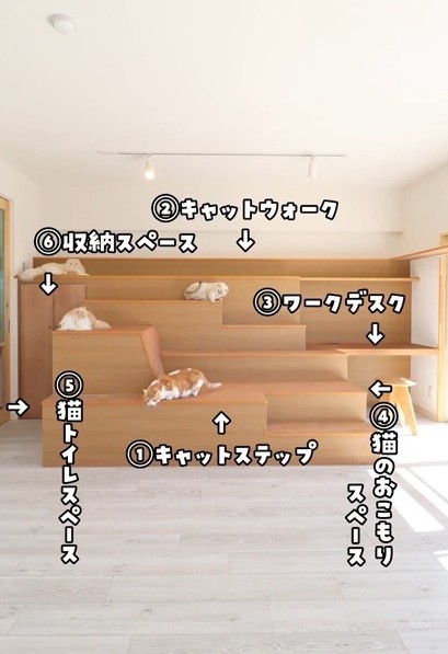 入居条件はとにかく“猫愛”が溢れている方（「ねこ大家」さん提供、Xよりキャプチャ撮影）
