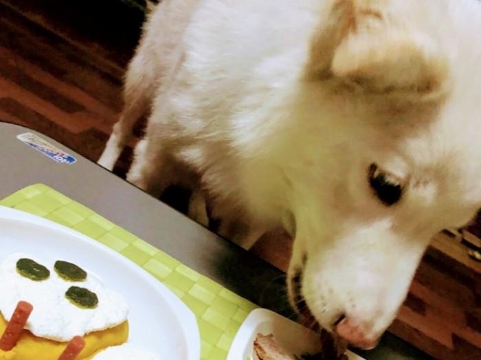 お誕生日は手作りのケーキでお祝い