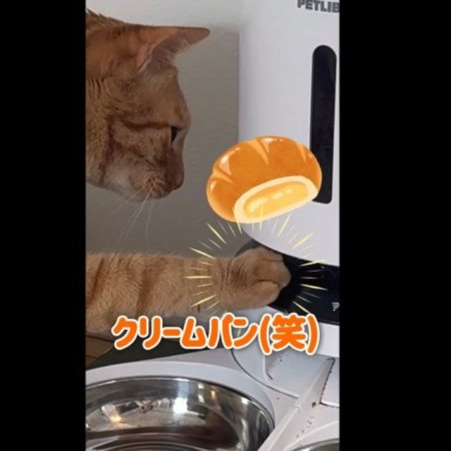 クリームパンのようなおててで上手にボタンをタッチするコハク8号くん（画像提供：コハク8号のお店屋さん）