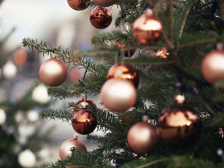 クリスマスにぜひ読みたい「賢者の贈り物」収録