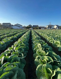 「生産者である前に経営者。作物をいくらでどのように出荷するのか、まで考えなくてはいけない」と話すTomoyaさん／Tomoyaさん（@aatomoyaaa）提供