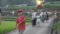 稲についた害虫を火で追い払い豊作を願う「虫送り」