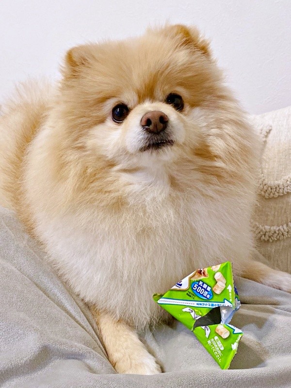 「おいしかった♡」 おやつの袋を大事に持つぱっちゃん（画像提供：ぱっちゃんさん）