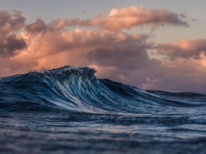 優等生だった私は、誰かと自分が比べられる「正解」のない海を行く