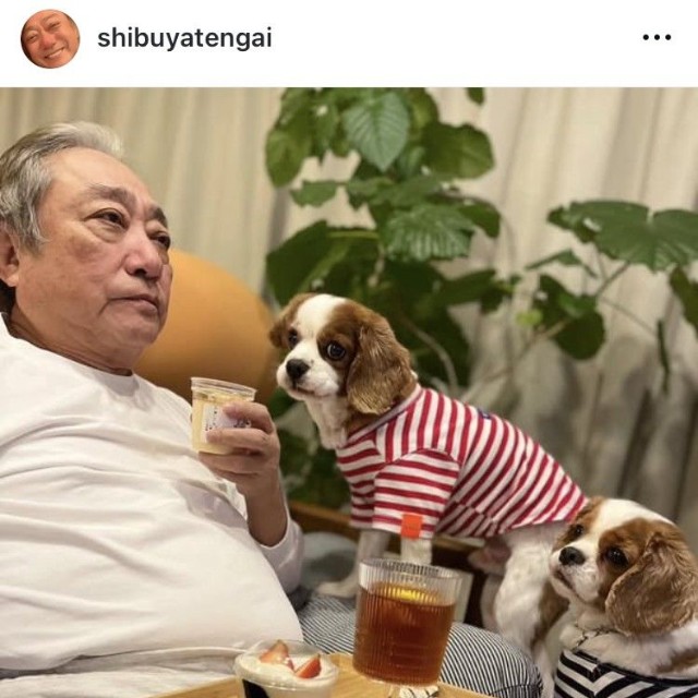 渋谷天外インスタグラム＠shibuyatengaiより