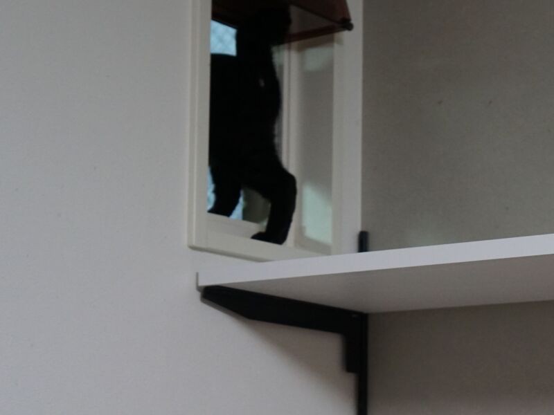 隣の部屋に続くトンネル