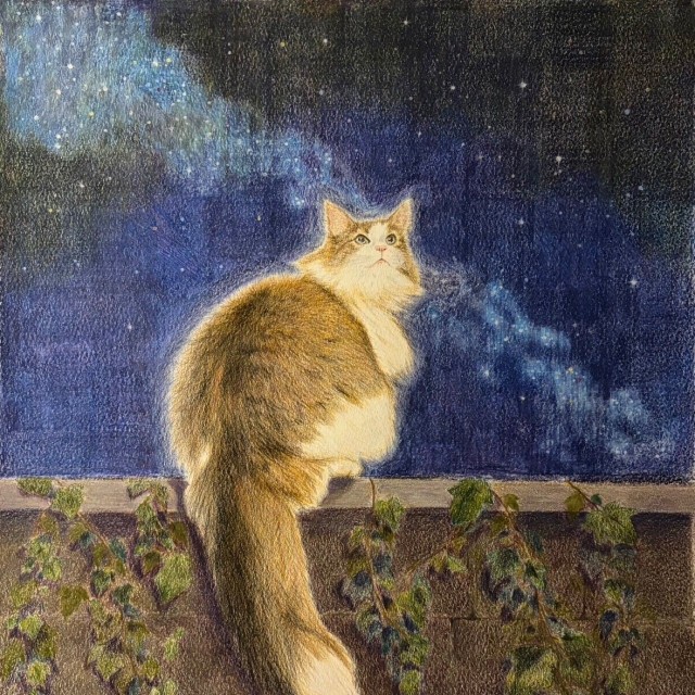 お母さんが色鉛筆で描いたシィクくん（「シィク / 猫アカ」さん提供）