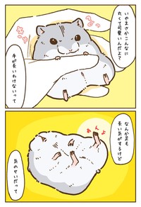 【漫画】「ハムスターって実は腕長いのでは……？」（提供：遊ハちさん）