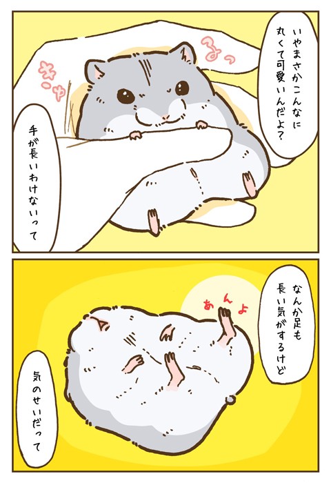 【漫画】「ハムスターって実は腕長いのでは……？」（提供：遊ハちさん）