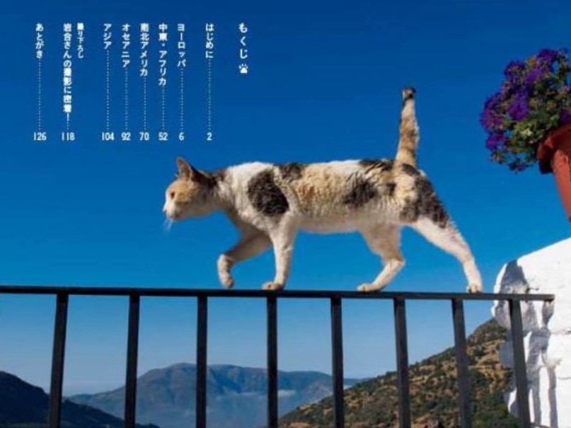 岩合さんが出会った“世界中の猫たち”　フォトエッセー集