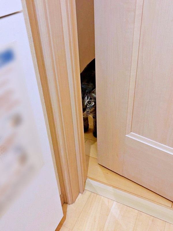 トイレに駆けつけたのりまきくん（画像提供：ぽにょこロイドさん）