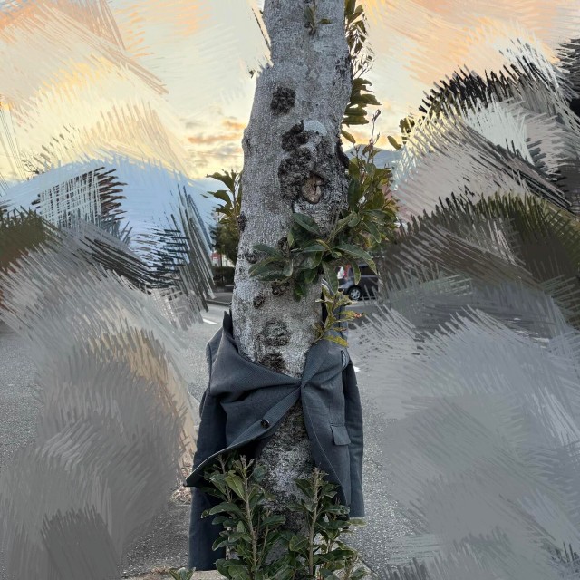 見つかったジャケットは木が着用中。機転の利く方のおかげで汚れることもなく無事回収（HirochongさんThreadsより）