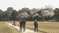 岡山後楽園（3月30日）