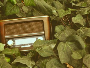 バイト先のラジオから流れてきた彼の音楽。絶望の人生が生まれ変わる