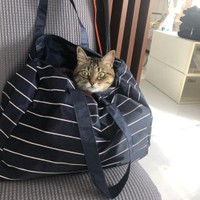 早くお出かけしようよ～