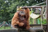 髪が整ってる時のイーバン