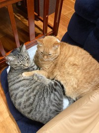 仲良しツーショット（画像提供：かぎしっぽすず&つむぎさん）