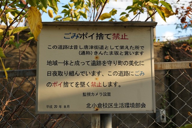 （腹よわボーイさん提供）