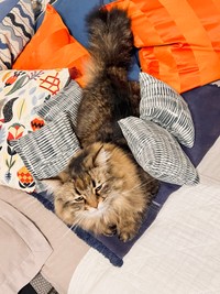 ミニクッションも手作り