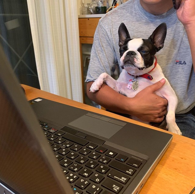 パパのテレワークのお手伝いをするよ