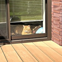 窓辺で自宅警備に励むちゃあさん（画像提供：床さん）