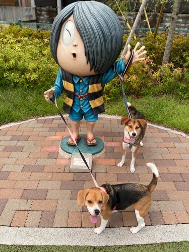 手前はビーグルの友達、後ろはゲゲゲのはこ太郎（甲田さん提供）