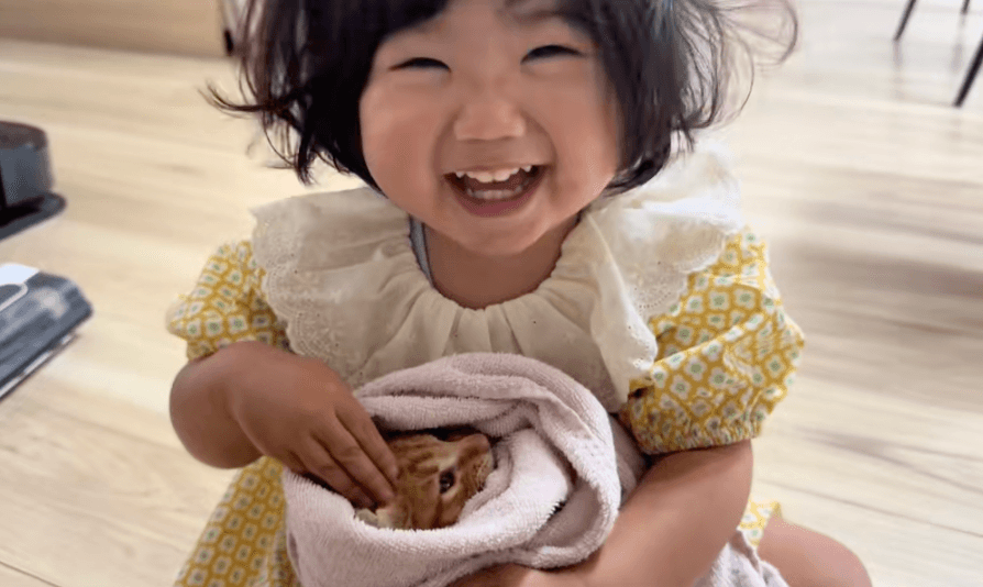 子猫と触れ合う2歳の女の子の動画がSNSで話題に（提供：いさまめfamilyさん）