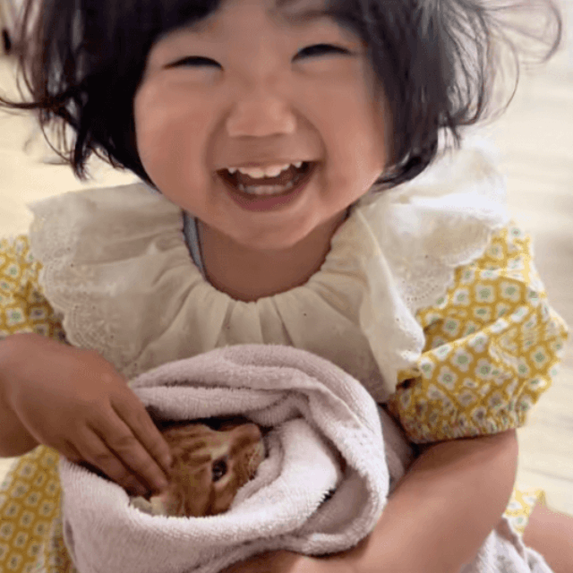 子猫と触れ合う2歳の女の子の動画がSNSで話題に（提供：いさまめfamilyさん）