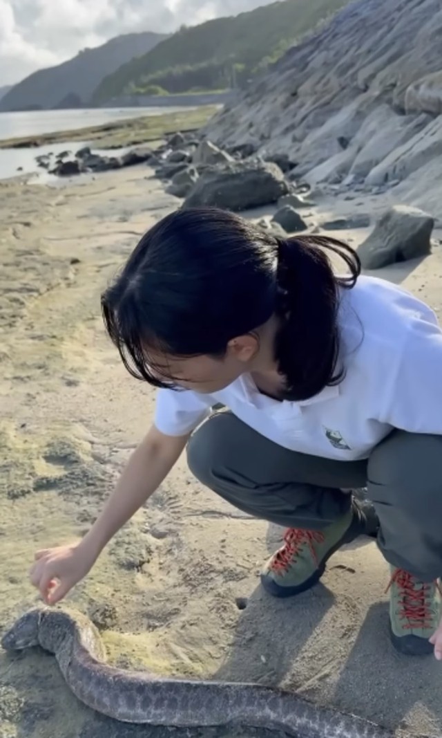 砂浜で遭遇したのは釣り糸が絡まったウツボ／投稿主さん提供