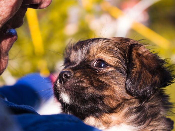 「最高の飼い主さんになれますか？」と問われたとしたら「YES！」と言えますか？