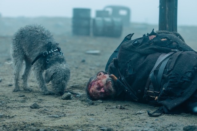 迫真の演技を見せる相棒犬、ウッコ（映画『SISU/シス 不死身の男』／© 2022 FREEZING POINT OY AND IMMORTAL SISU UK LTD. ALL RIGHTS RESERVED.　配給：ハピネットファントム・スタジオ）