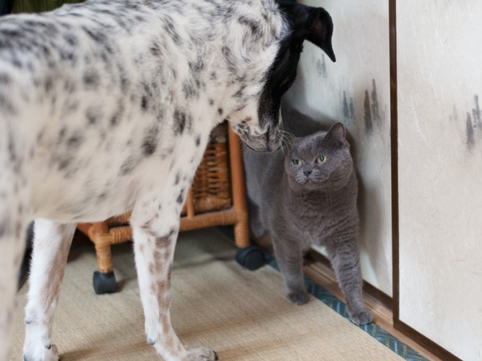 「アネラにはこの隙間は入れないよ」（小林写函撮影）