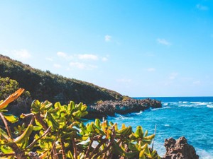 結婚願望がない彼と沖縄へ移住。仕事も辞めて私の隣を選んでくれた