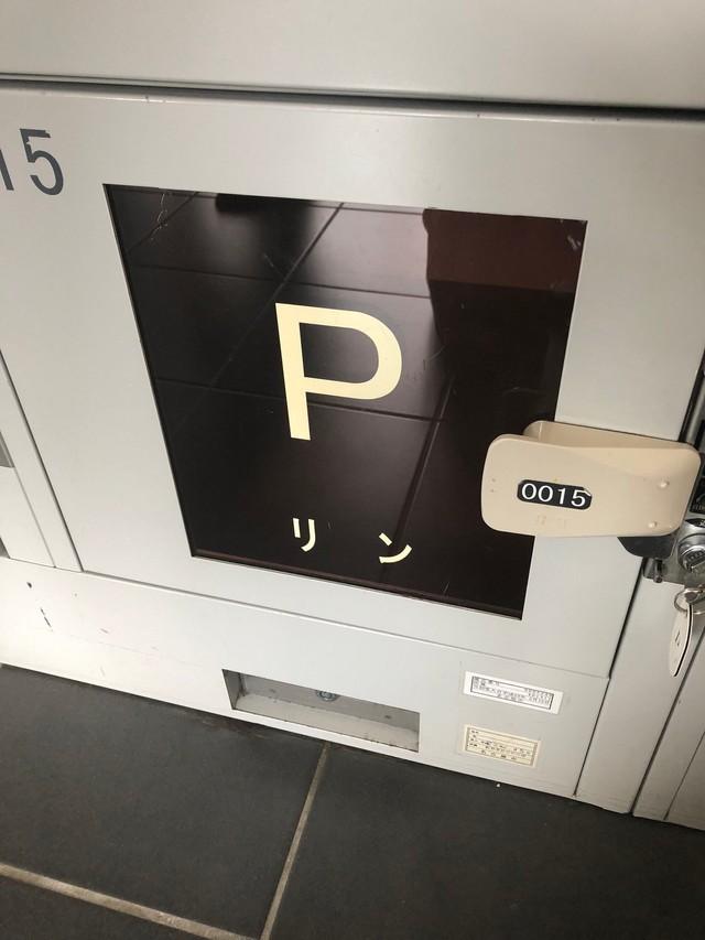 リン！（スノウさん提供）