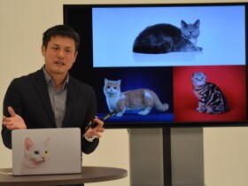 【参加者募集】「糖尿病の猫との幸せな暮らしのために」オンラインセミナー～インスリン発見100周年記念～