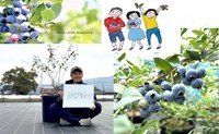 2026年夏に誕生予定のブルーベリーの観光農園　29日に苗木の植え替えイベント開催　香川・観音寺市