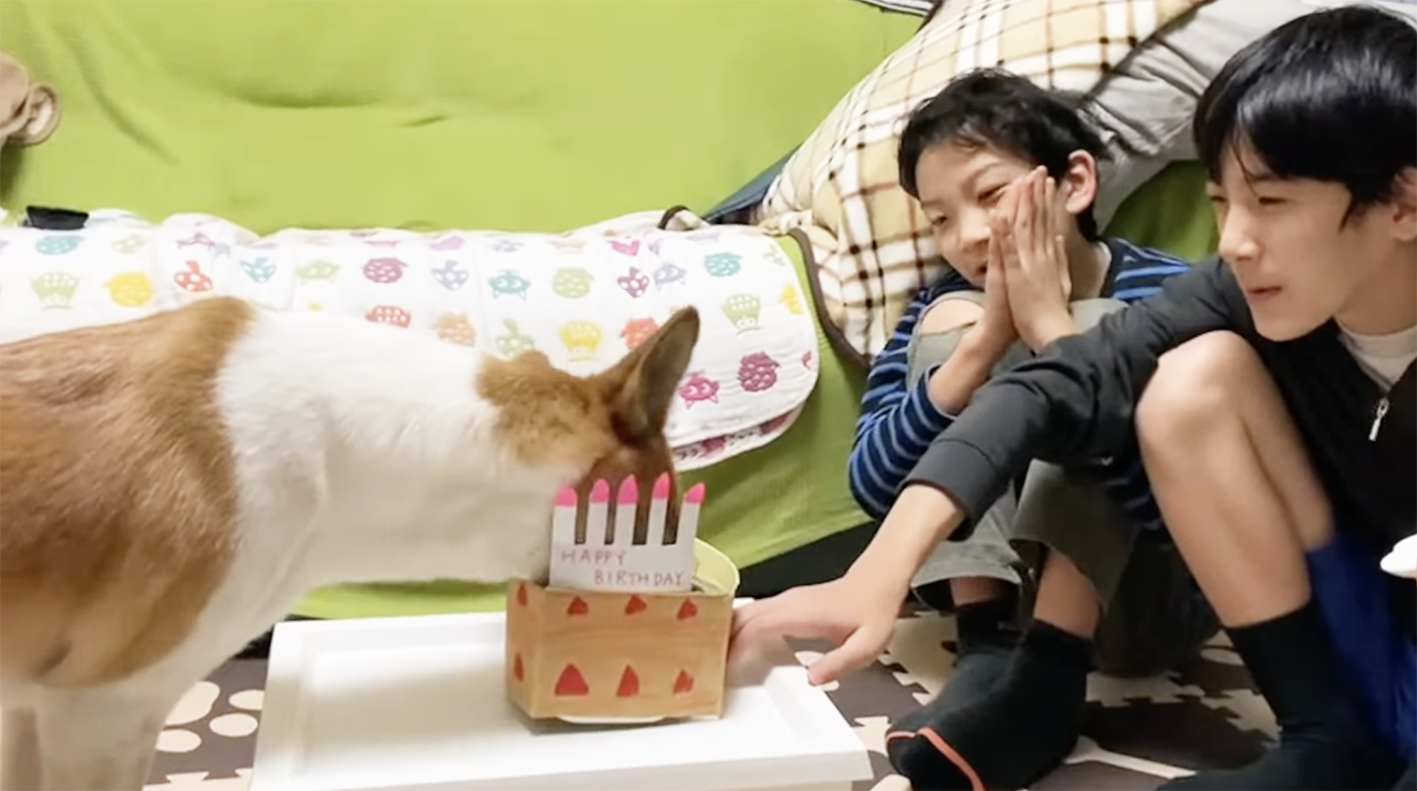 ポンの誕生日にはご馳走と一緒に歌でお祝いする男の子兄弟