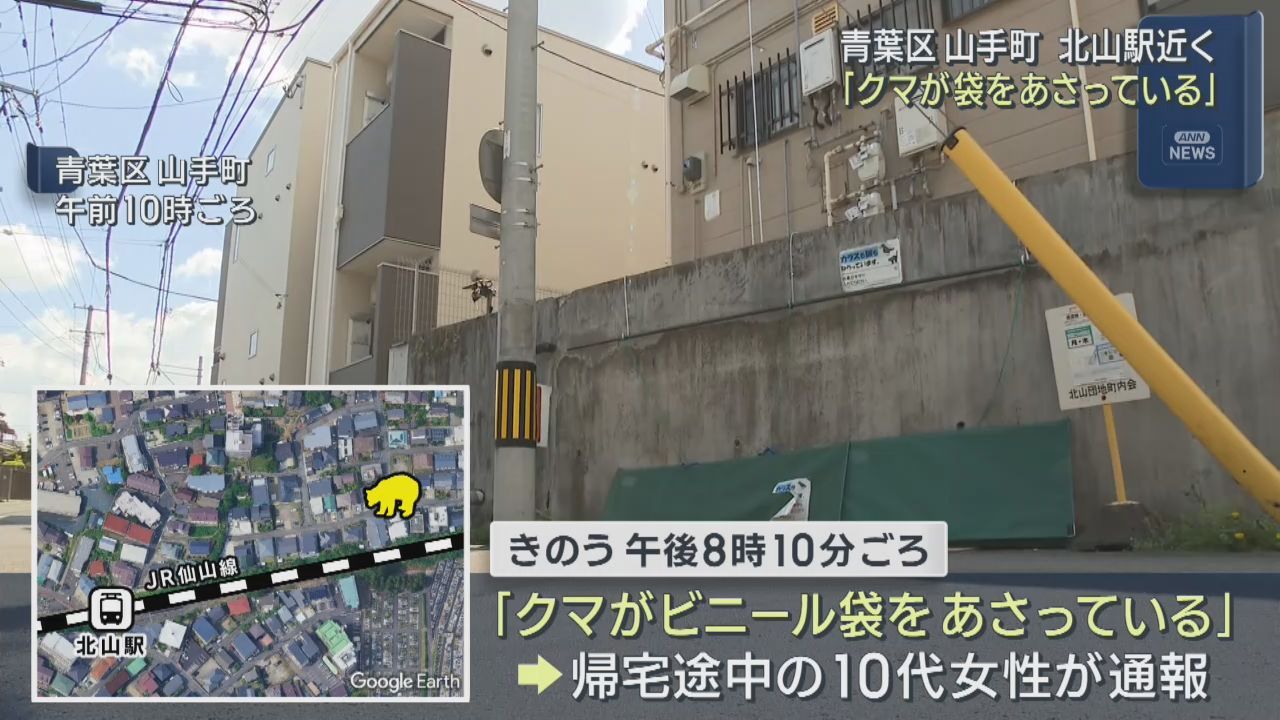 「クマが袋をあさっている」仙台市内の住宅街で目撃